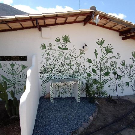 Terra de Aruanda pousada Palmeiras (Bahia) Exterior foto
