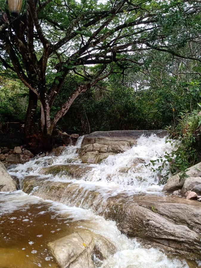 Terra de Aruanda pousada Palmeiras (Bahia) Exterior foto